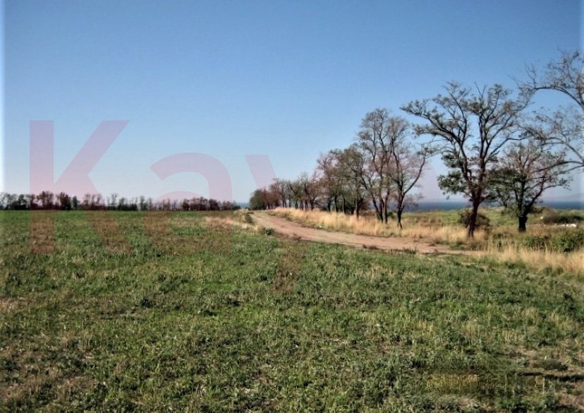 Продажа земельного участка, 374 сот. фото 4 Продажа земельного участка, 374 сот. фото 4