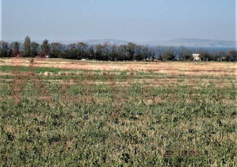 Продажа земельного участка, 742 сот. фото 7 Продажа земельного участка, 742 сот. фото 7