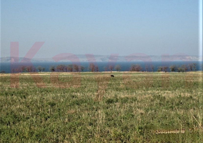 Продажа земельного участка, 742 сот. фото 0