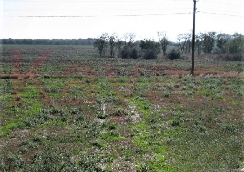 Продажа земельного участка, 742 сот. фото 5