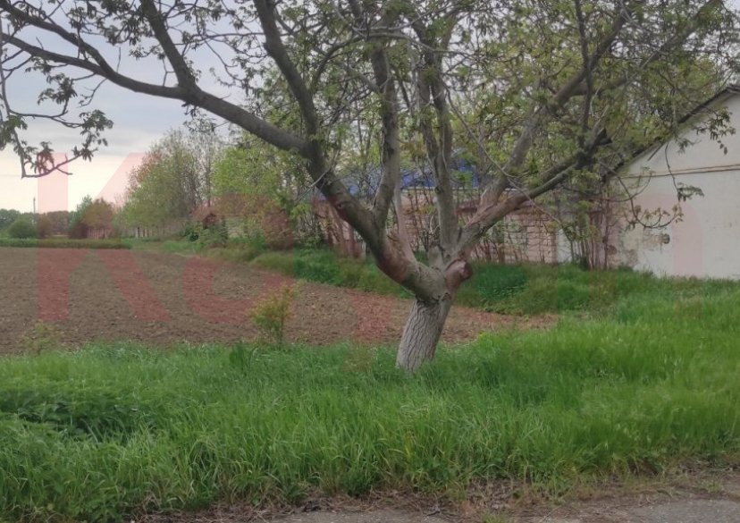 Продажа земельного участка, 600 сот. фото 3