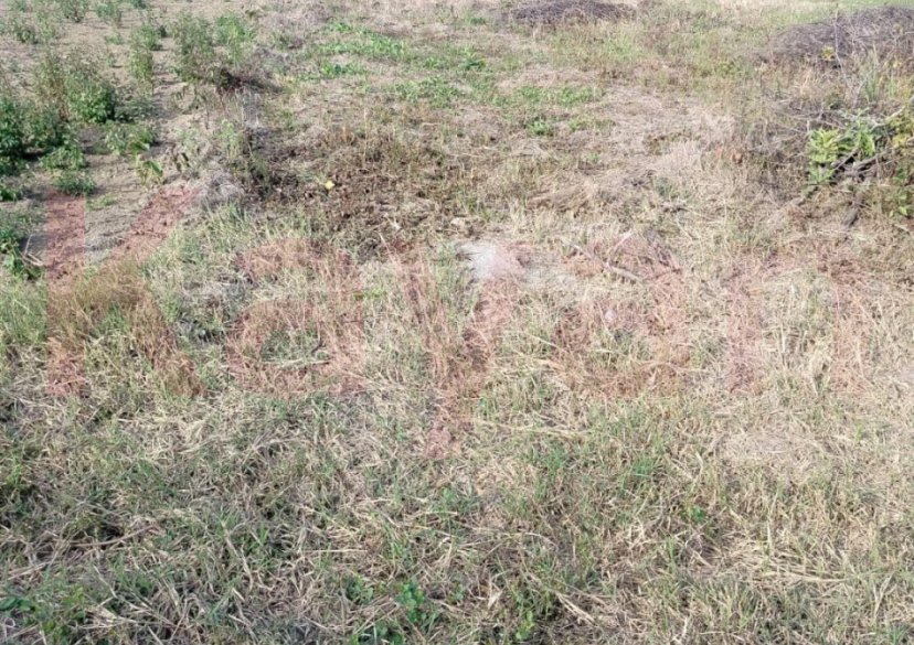 Продажа земельного участка, 8 сот. фото 1