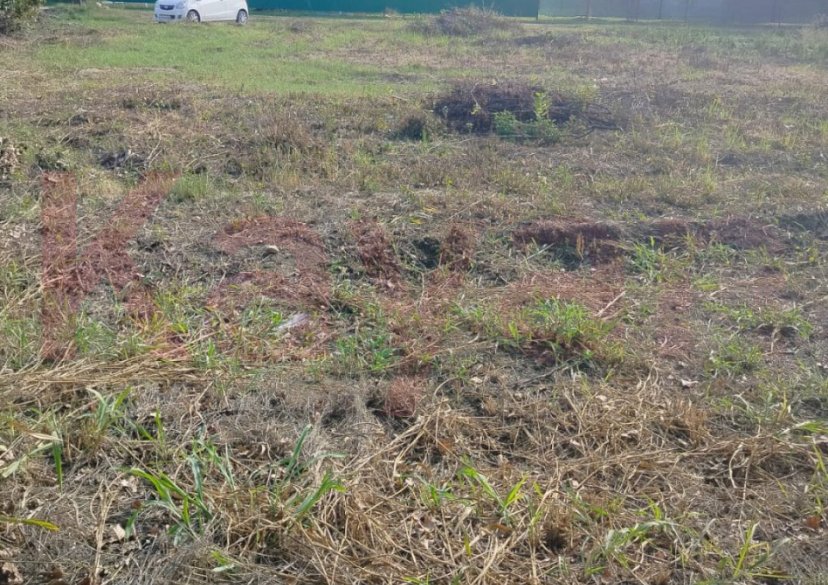 Продажа земельного участка, 8 сот. фото 2