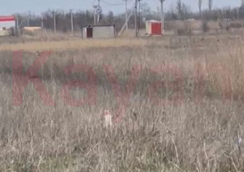 Продажа земельного участка, 20 сот. фото 4