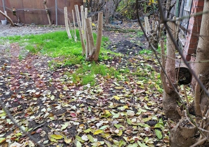 Продажа земельного участка, 6 сот. фото 0