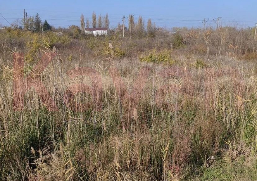 Продажа земельного участка, 69 сот. фото 1