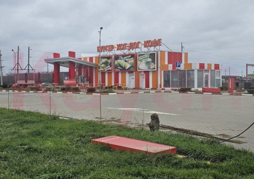 Продажа земельного участка, 45 сот. фото 4