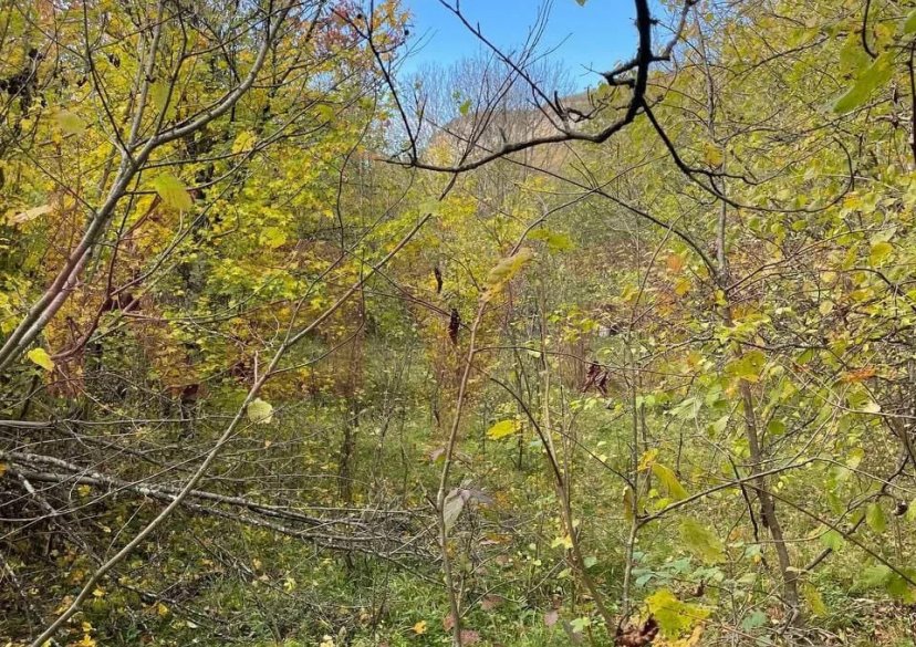 Продажа земельного участка, 5 сот. фото 4