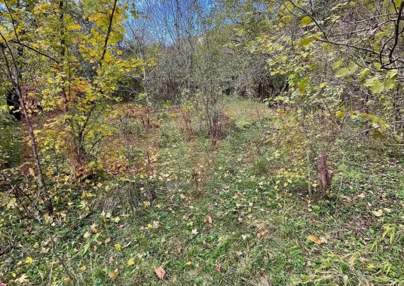 Продажа земельного участка, 5 сот. фото 2