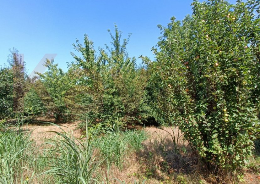 Продажа земельного участка, 6 сот. фото 0