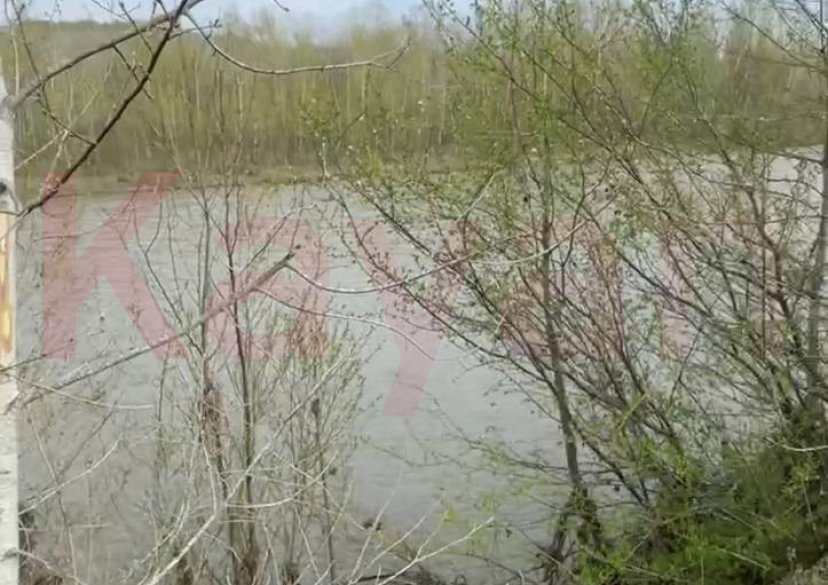 Продажа земельного участка, 450 сот. фото 3