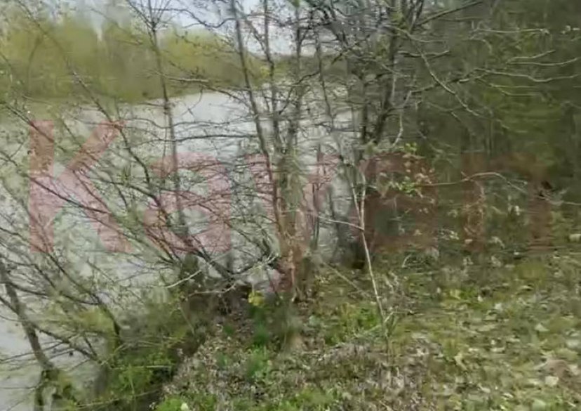 Продажа земельного участка, 450 сот. фото 4