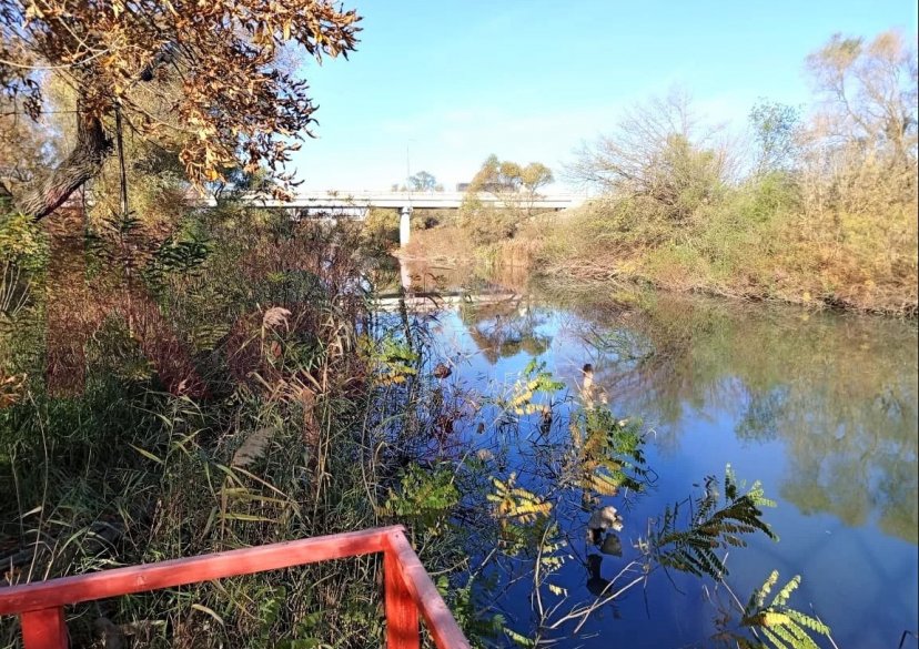 Продажа земельного участка, 10 сот. фото 5