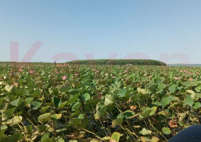 Продажа земельного участка, 10 сот. фото 4 Продажа земельного участка, 10 сот. фото 4