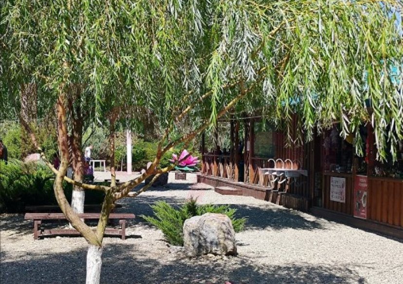 Продажа земельного участка, 10 сот. фото 3