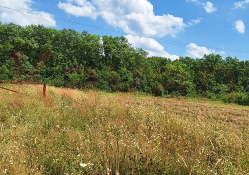 Продажа земельного участка, 15 сот. фото 0