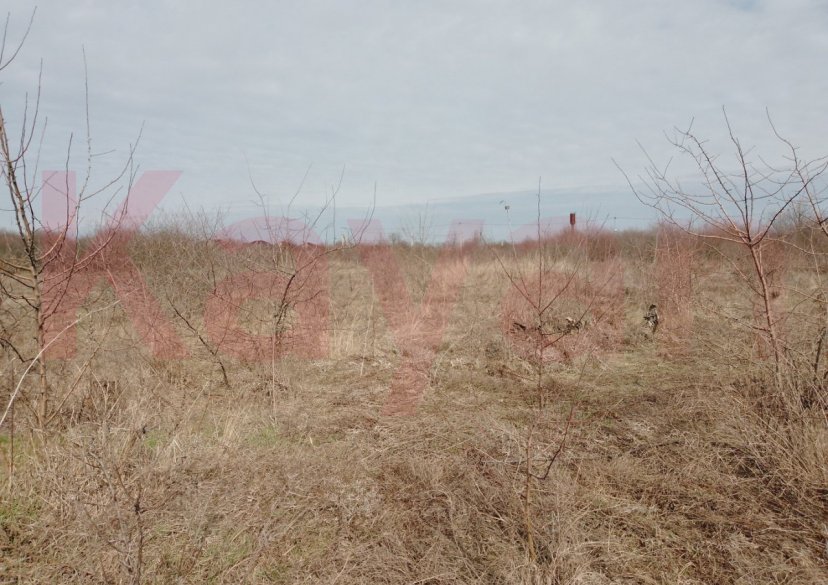 Продажа земельного участка, 10 сот. фото 4