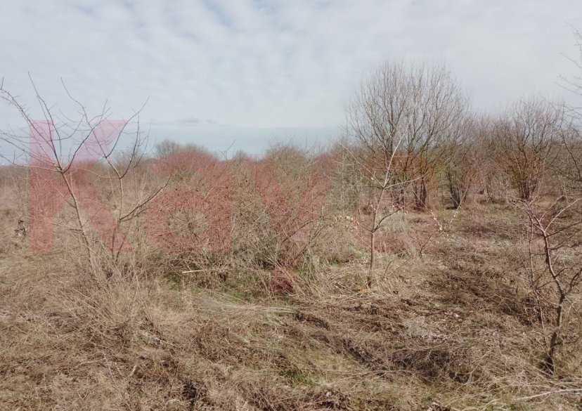 Продажа земельного участка, 10 сот. фото 1 Продажа земельного участка, 10 сот. фото 1