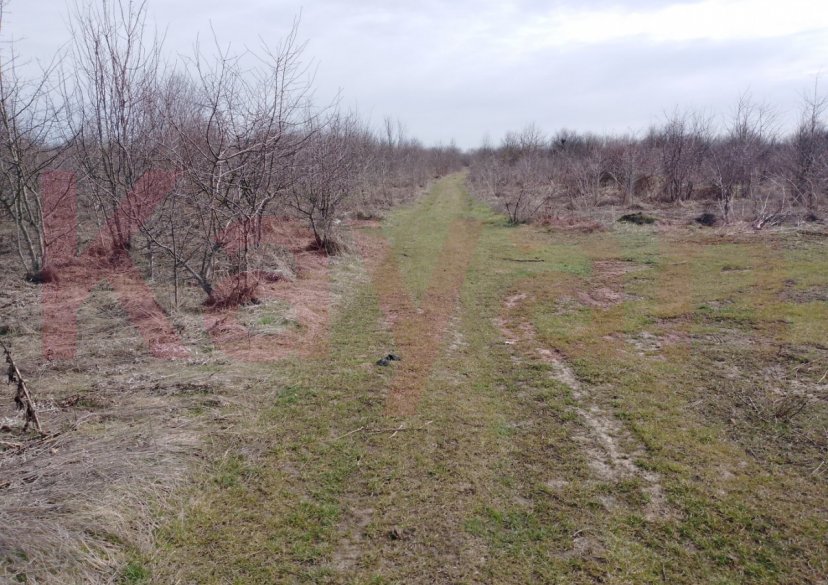 Продажа земельного участка, 10 сот. фото 13 Продажа земельного участка, 10 сот. фото 13