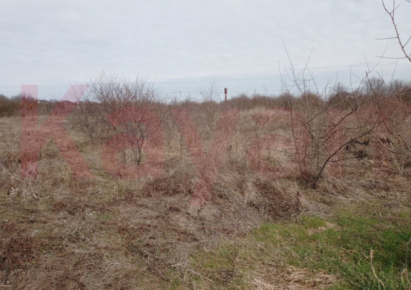 Продажа земельного участка, 10 сот. фото 5 Продажа земельного участка, 10 сот. фото 5