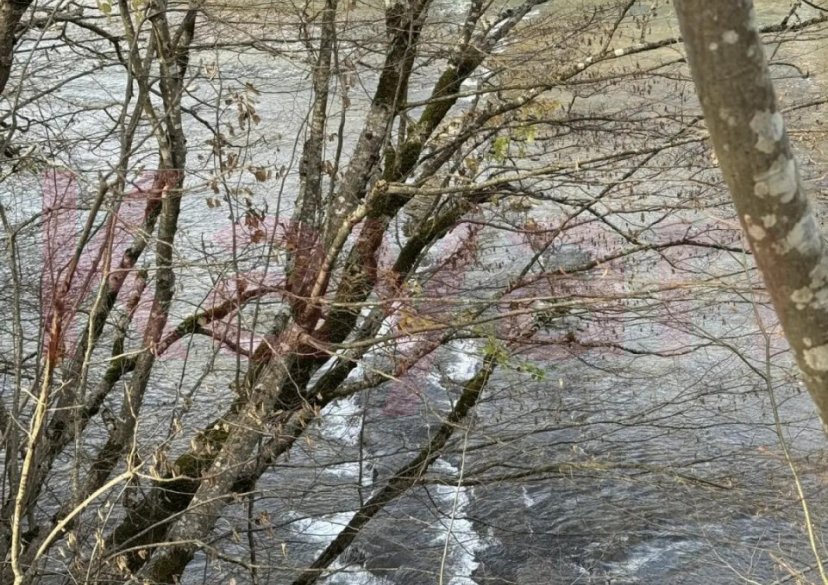 Продажа земельного участка, 15 сот. фото 6