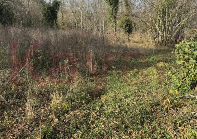 Продажа земельного участка, 15 сот. фото 2