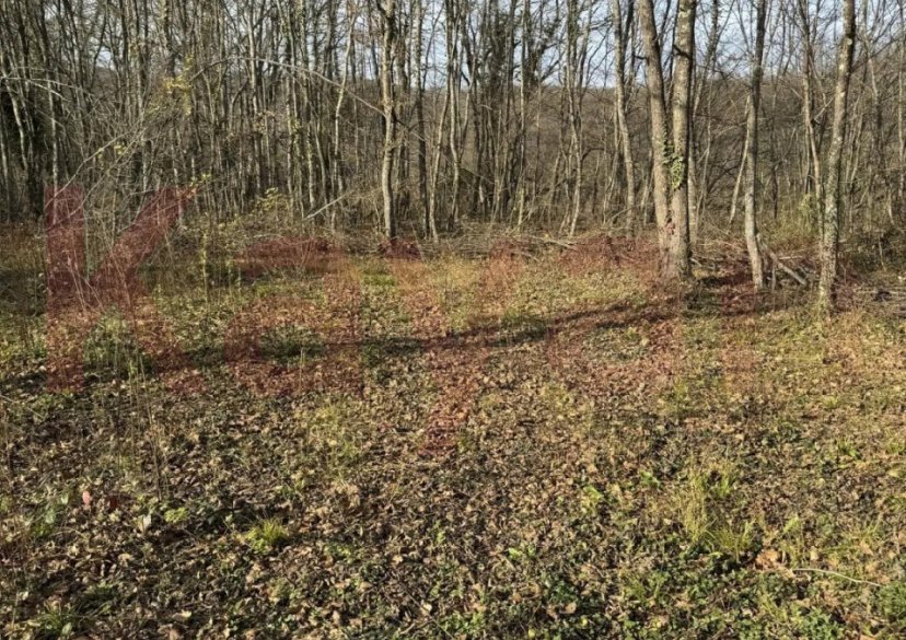 Продажа земельного участка, 15 сот. фото 3