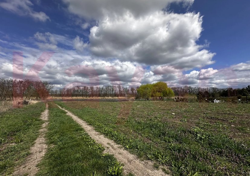 Продажа земельного участка, 14 сот. фото 2