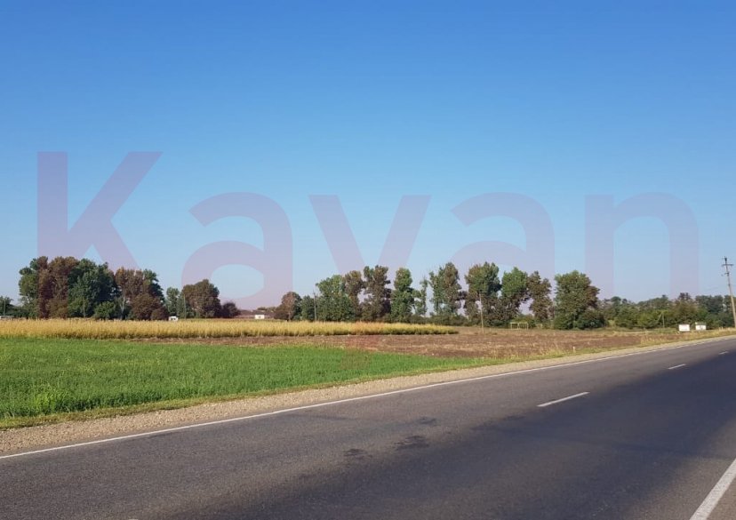 Продажа земельного участка, 100 сот. фото 2 Продажа земельного участка, 100 сот. фото 2