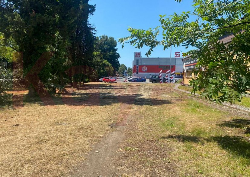 Аренда земельного участка, 20 сот. фото 2 Аренда земельного участка, 20 сот. фото 2