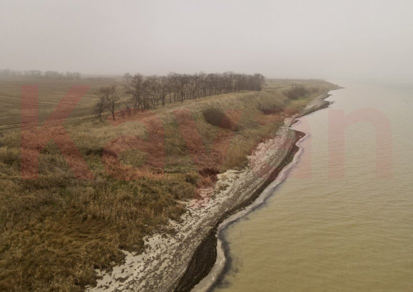 Продажа земельного участка, 100 сот. фото 1 Продажа земельного участка, 100 сот. фото 1