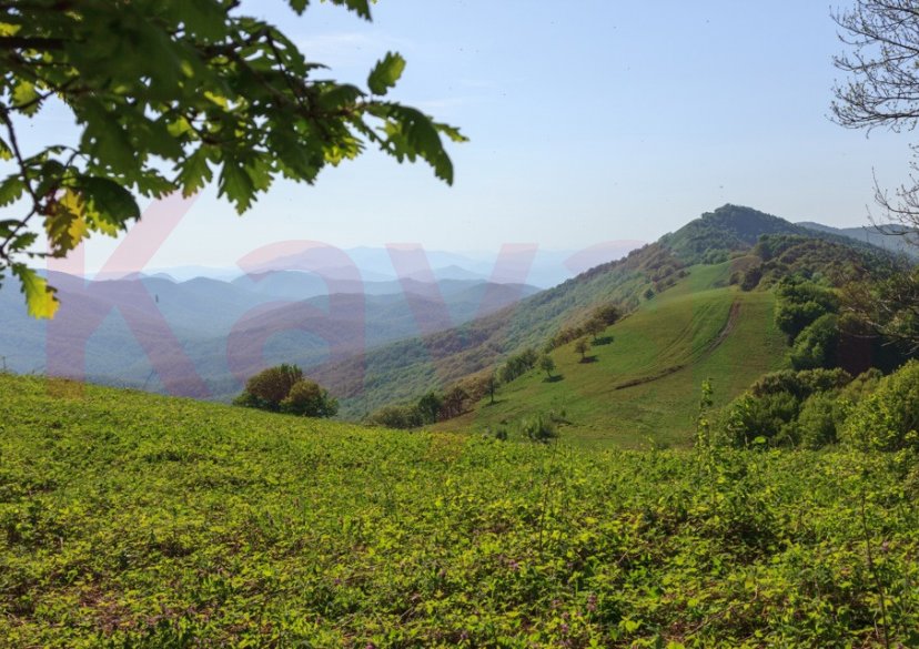 Продажа земельного участка, 7 сот. фото 6