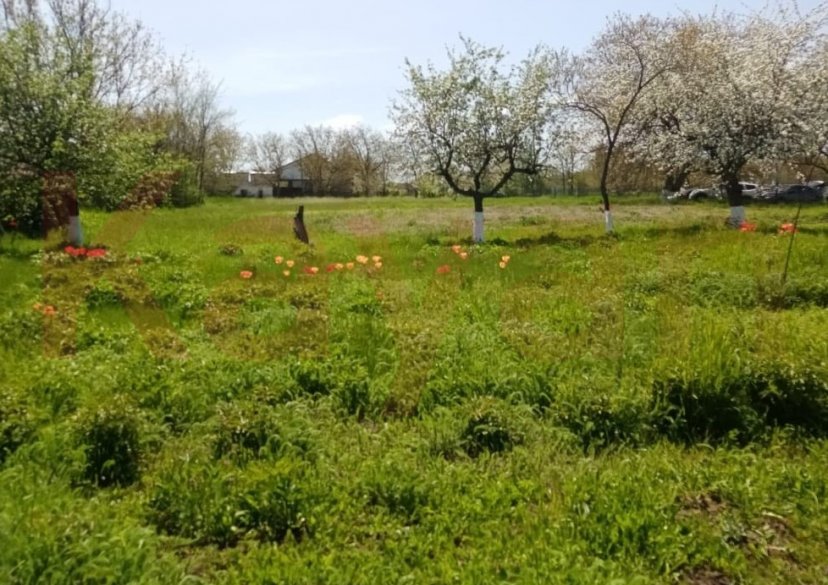 Продажа земельного участка, 13 сот. фото 1 Продажа земельного участка, 13 сот. фото 1