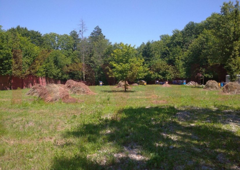 Продажа земельного участка, 100 сот. фото 15