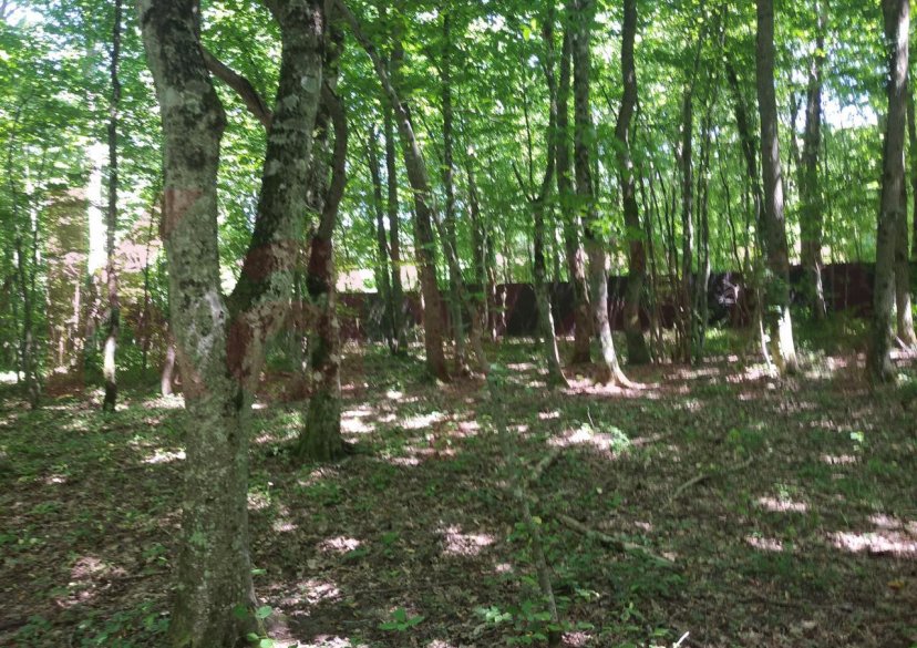 Продажа земельного участка, 100 сот. фото 6