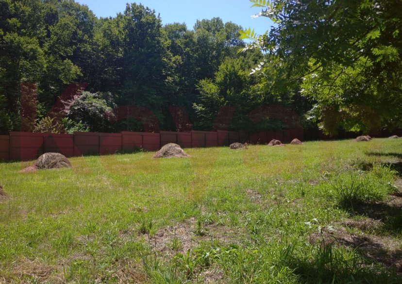 Продажа земельного участка, 100 сот. фото 3