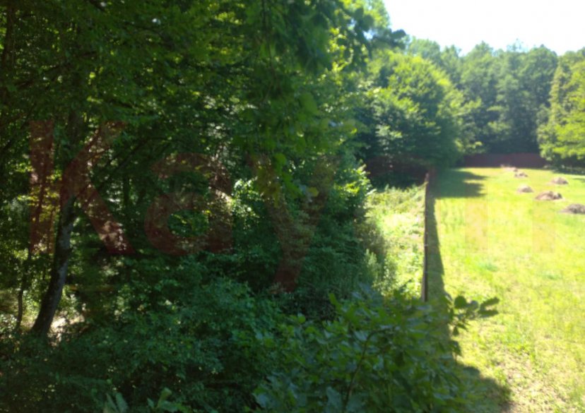 Продажа земельного участка, 100 сот. фото 6