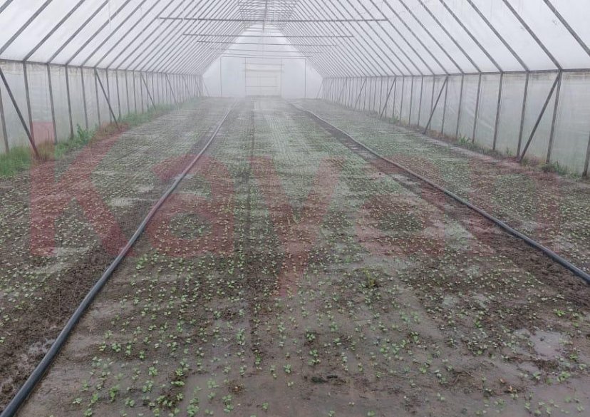 Продажа земельного участка, 3000 сот. фото 2 Продажа земельного участка, 3000 сот. фото 2