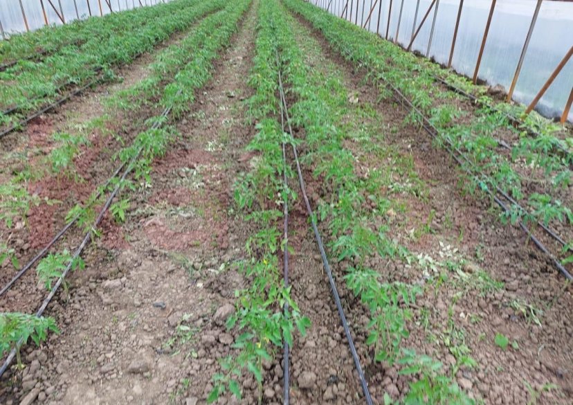 Продажа земельного участка, 3000 сот. фото 3 Продажа земельного участка, 3000 сот. фото 3