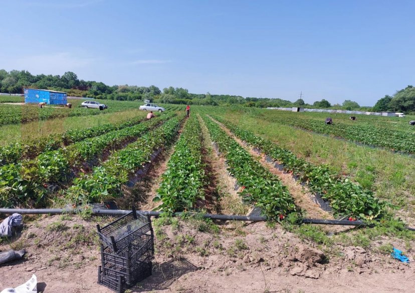 Продажа земельного участка, 3000 сот. фото 6 Продажа земельного участка, 3000 сот. фото 6