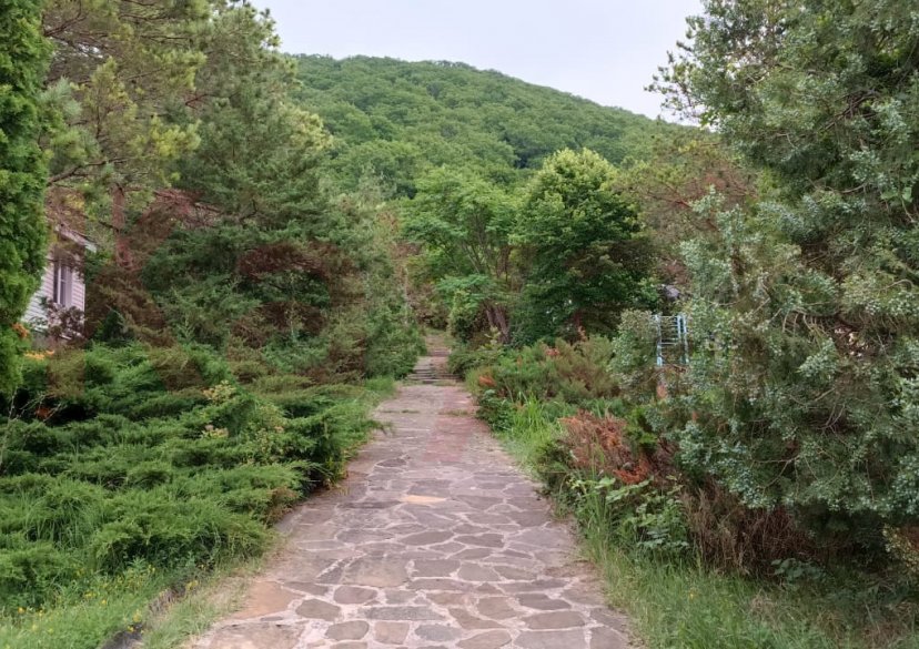 Продажа земельного участка, 50 сот. фото 0