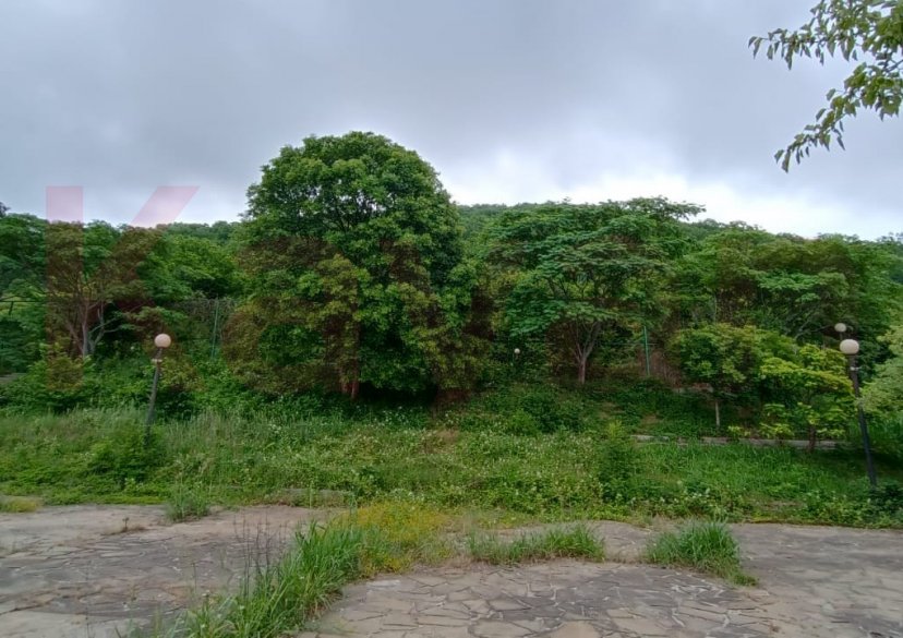 Продажа земельного участка, 50 сот. фото 3