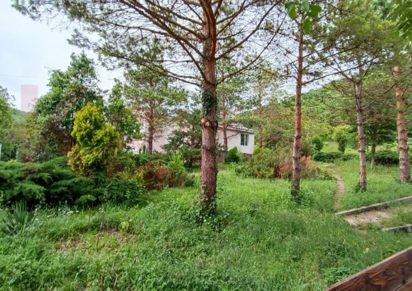 Продажа земельного участка, 50 сот. фото 5