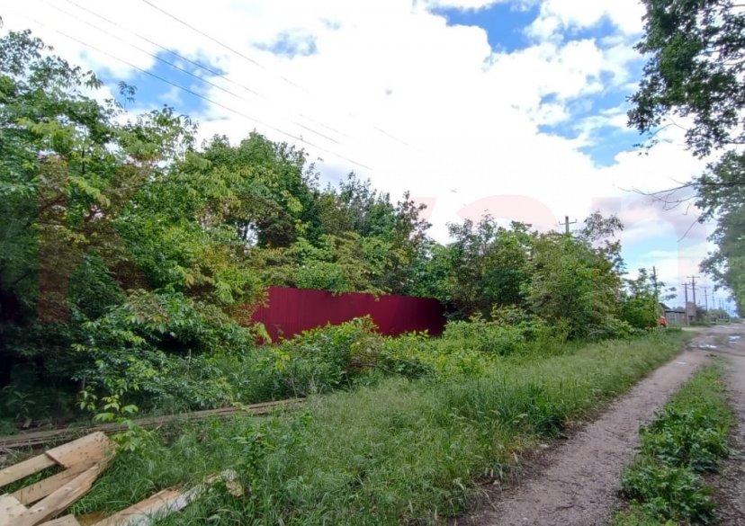 Продажа земельного участка, 100 сот. фото 4 Продажа земельного участка, 100 сот. фото 4