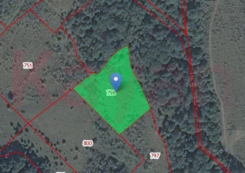 Продажа земельного участка, 100 сот. фото 0