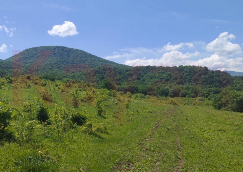 Продажа земельного участка, 175 сот. фото 2