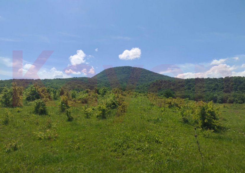 Продажа земельного участка, 175 сот. фото 4