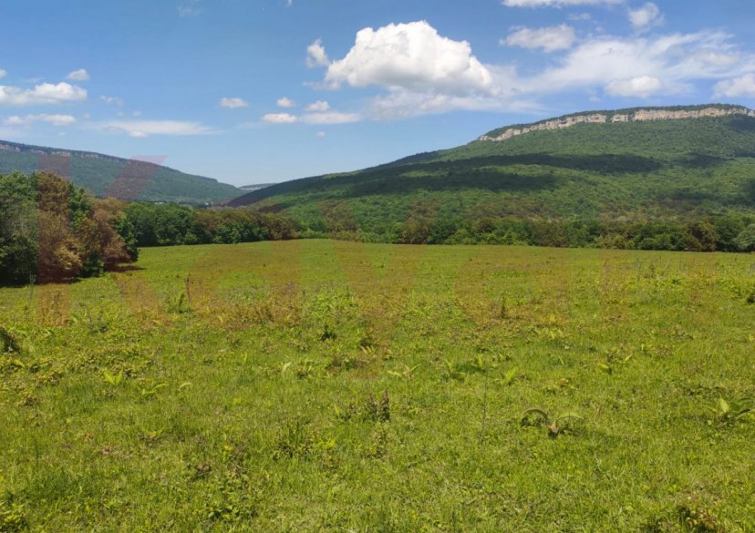 Продажа земельного участка, 175 сот. фото 6 Продажа земельного участка, 175 сот. фото 6