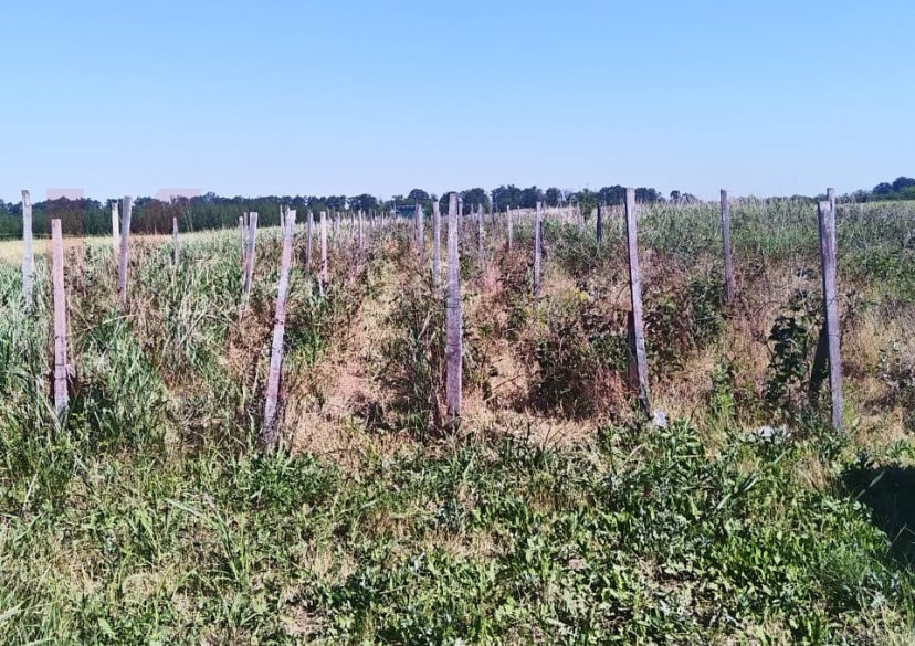 Продажа земельного участка, 200 сот. фото 1