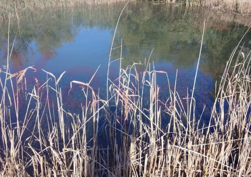 Продажа земельного участка, 16 сот. фото 4 Продажа земельного участка, 16 сот. фото 4